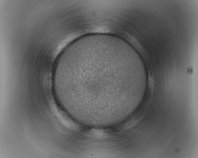 X0000113570534200910021631