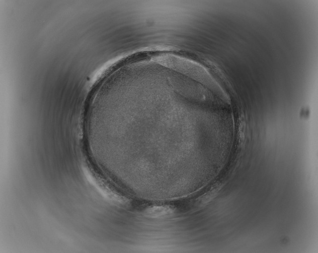 X0000113570536200910021631