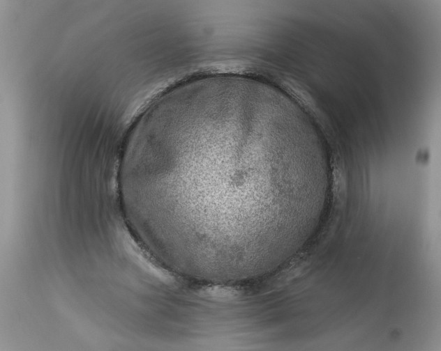 X0000113570537200910021632