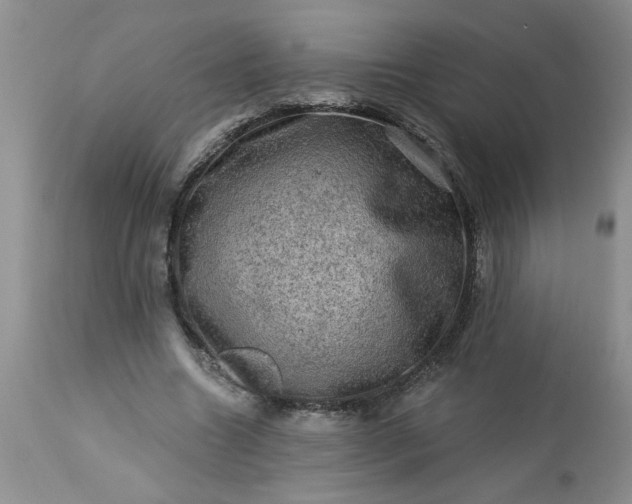 X0000113570538200910021632