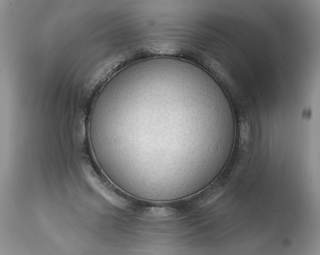 X0000113570541200910021632