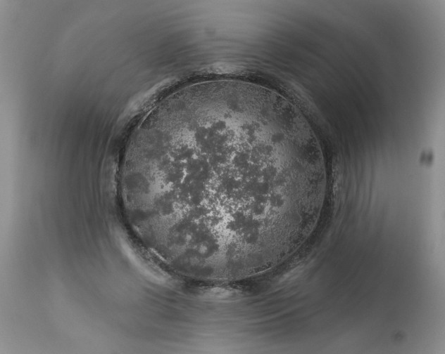 X0000113570542200910021632