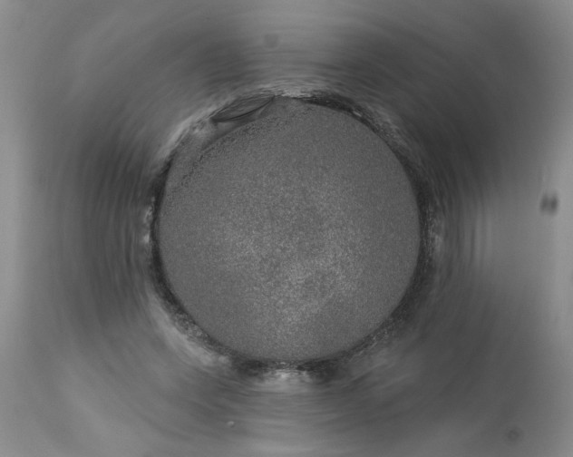 X0000113570543200910021632