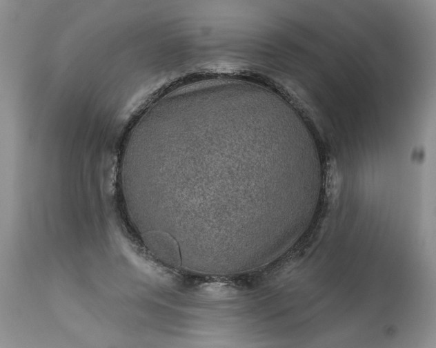 X0000113570544200910021632