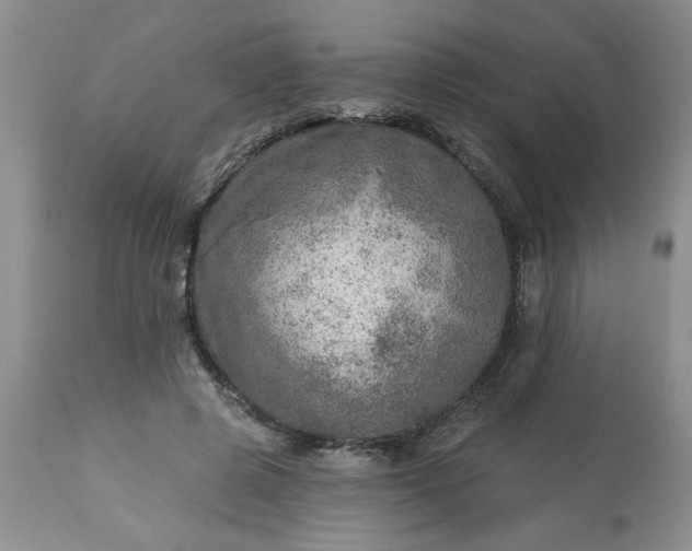 X0000113570545200910021632