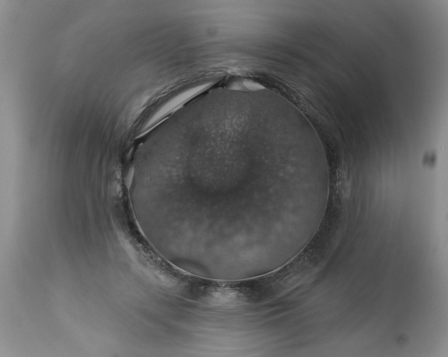 X0000113570547200910021632