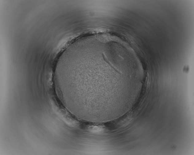 X0000113570548200910021632