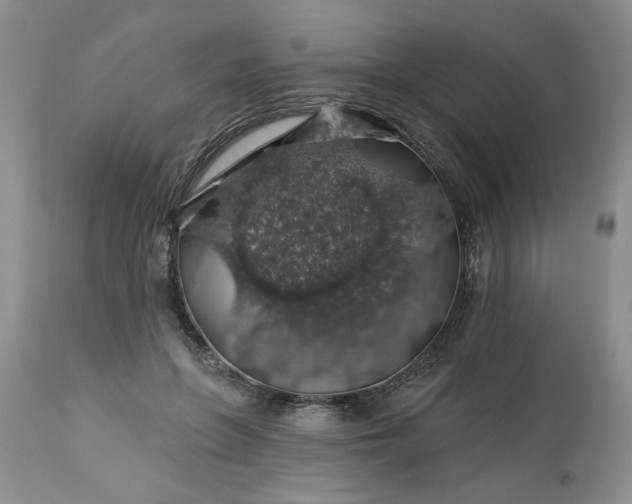 X0000113570551200910021632