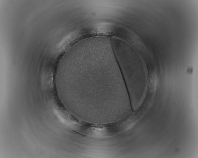 X0000113570552200910021632