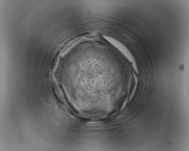 X0000113570556200910021632