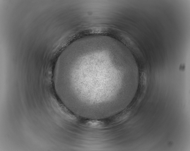 X0000113570557200910021632