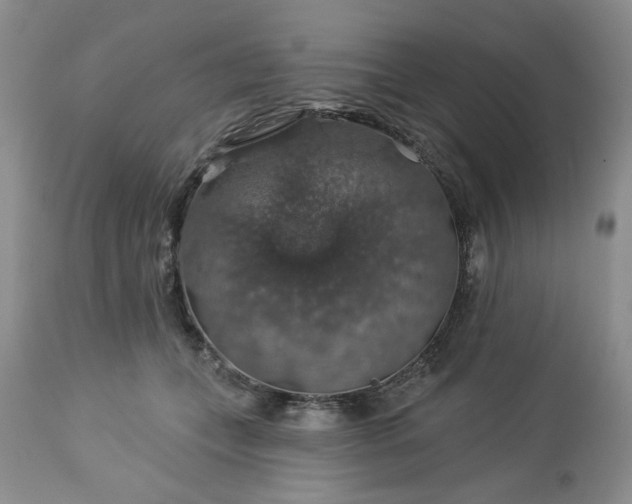 X0000113570559200910021632