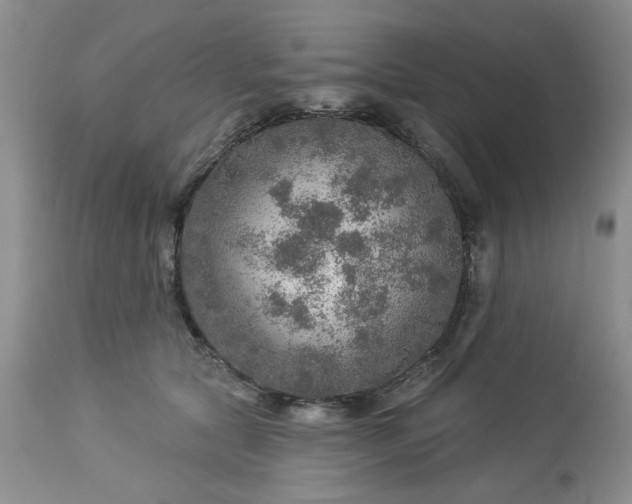 X0000113570561200910021632