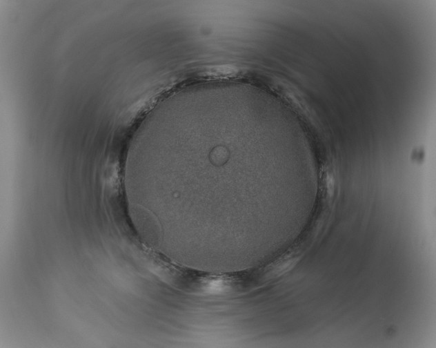 X0000113570564200910021632