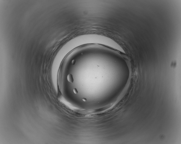 X0000113570566200910021632