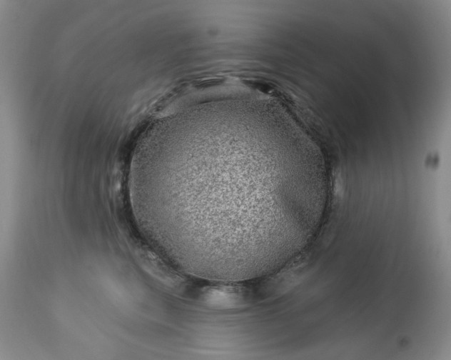 X0000113570567200910021632