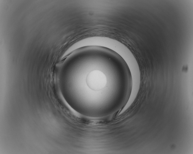 X0000113570568200910021632