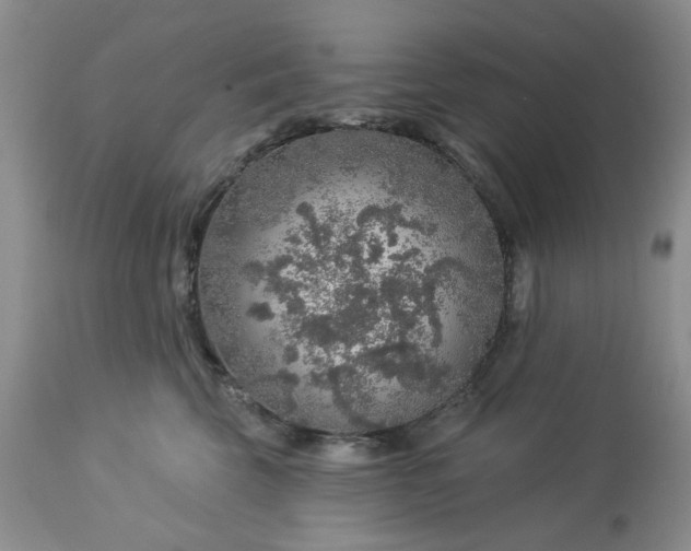 X0000113570569200910021632