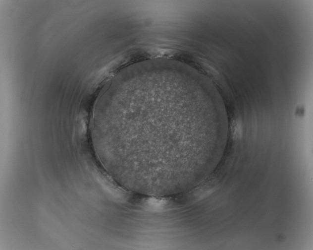 X0000113570570200910021632