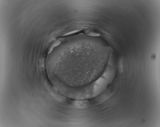 X0000113570571200910021632