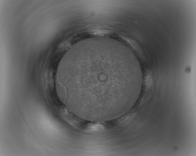 X0000113570572200910021632