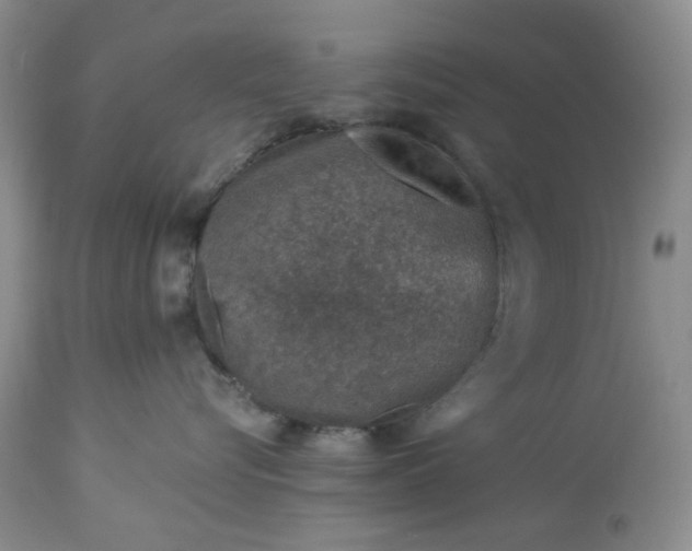 X0000113570576200910021632