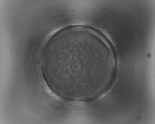 X0000113570577200910021631