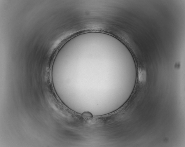 X0000113570579200910021631