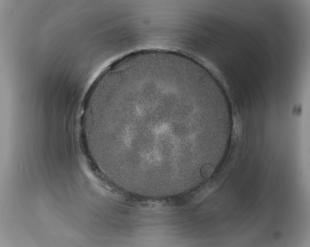 X0000113570580200910021631
