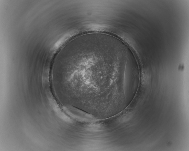 X0000113570581200910021631