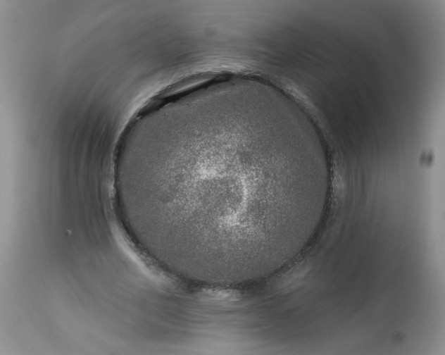 X0000113570582200910021631