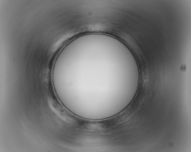 X0000113570583200910021631