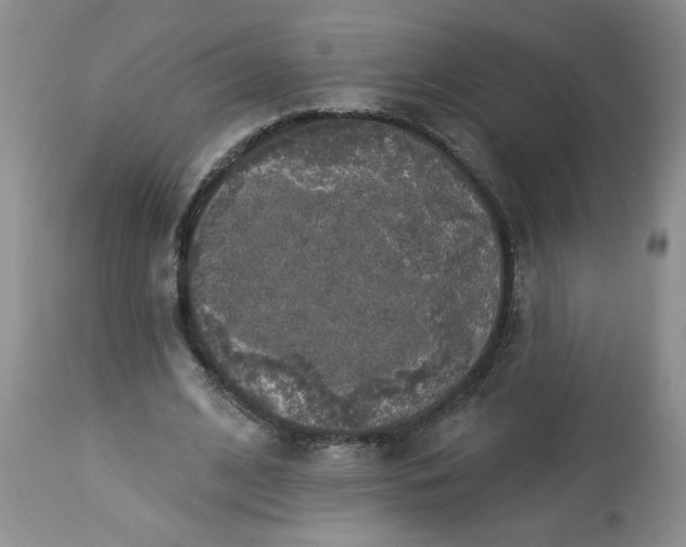 X0000113570584200910021631