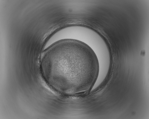 X0000113570585200910021631