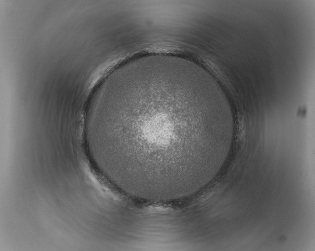 X0000113570586200910021631