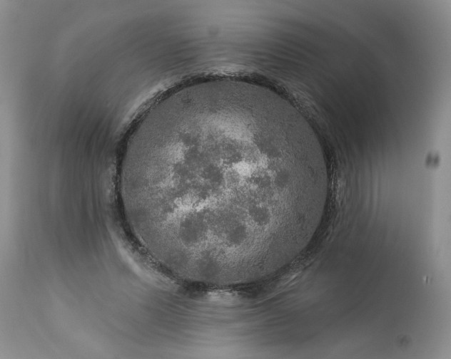 X0000113570591200910021631