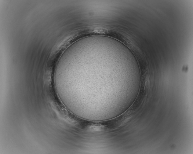 X0000113570595200910021631