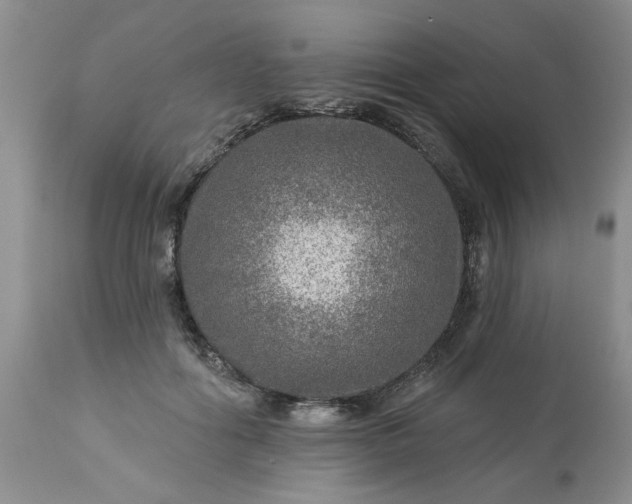 X0000113570602200910021631