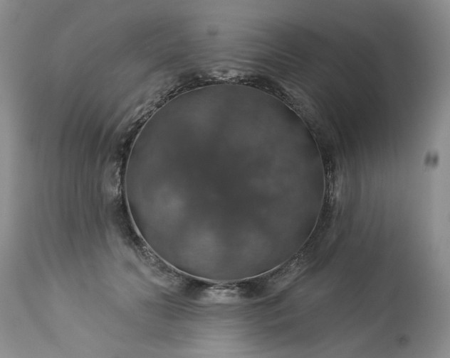X0000113570606200910021631