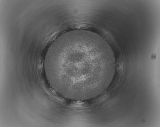 X0000113570607200910021631