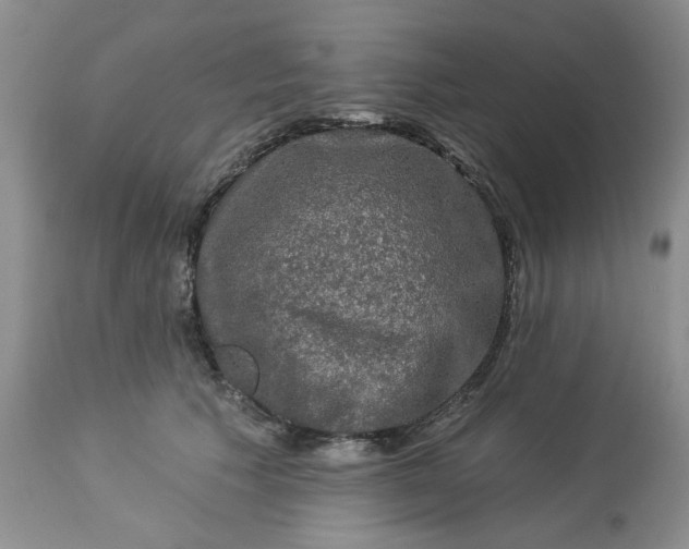 X0000113570609200910021631
