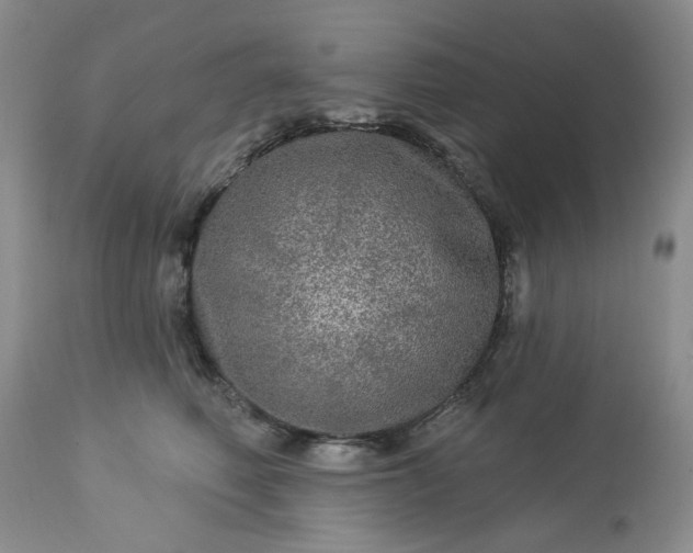 X0000113570614200910021631