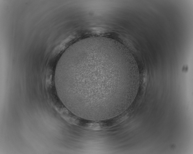 X0000113570615200910021631