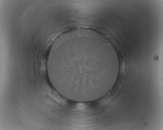 X0000113570616200910021631