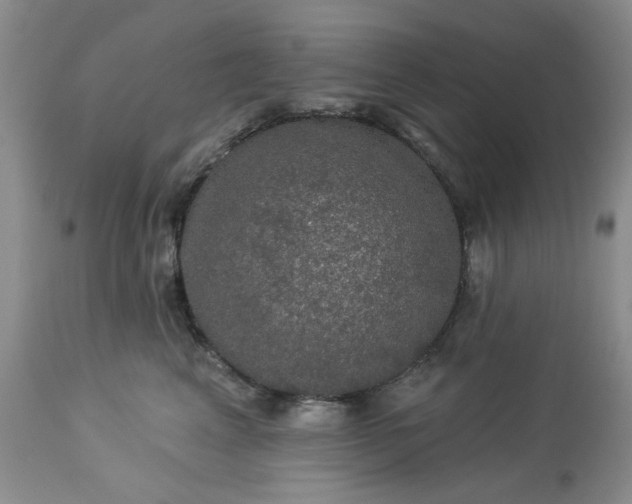 X0000113570617200910021631