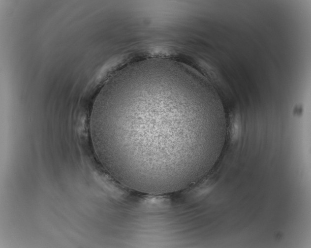 X0000113570619200910021631