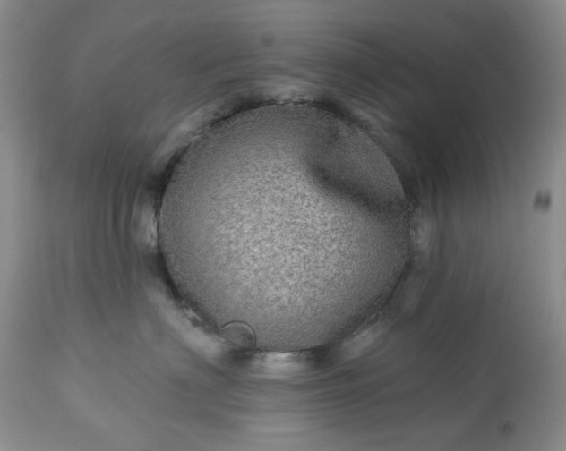 X0000113570622200910021631