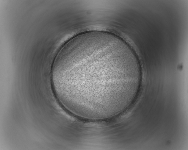 X0000113570625200910021630