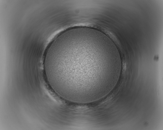 X0000113570628200910021630