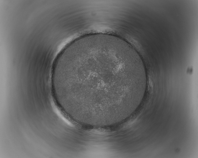 X0000113570630200910021630